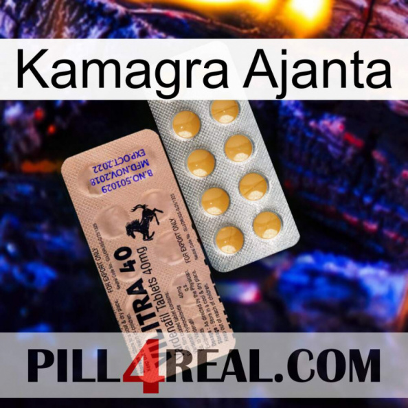 Kamagra Ajanta 41.jpg